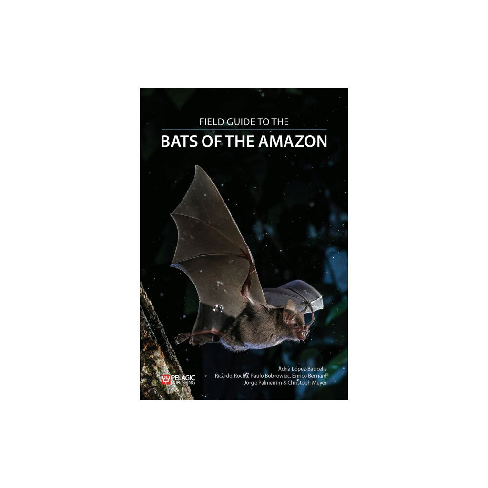 Pelagic Publishing Field Guide to the Bats of the Amazon (häftad, eng)