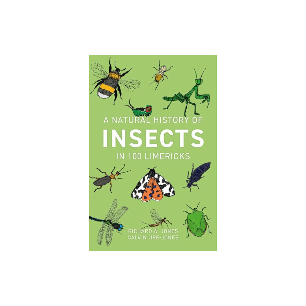 Pelagic Publishing A Natural History of Insects in 100 Limericks (häftad, eng)