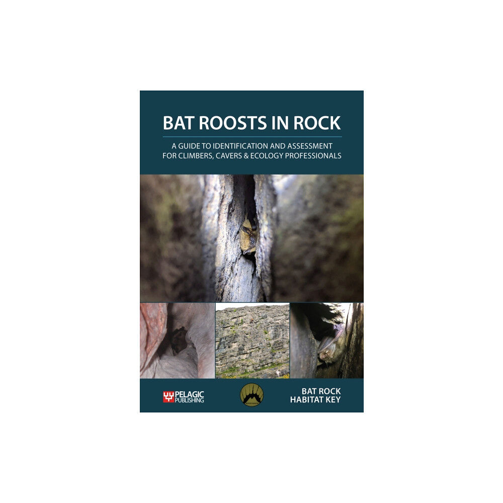 Pelagic Publishing Bat Roosts in Rock (häftad, eng)