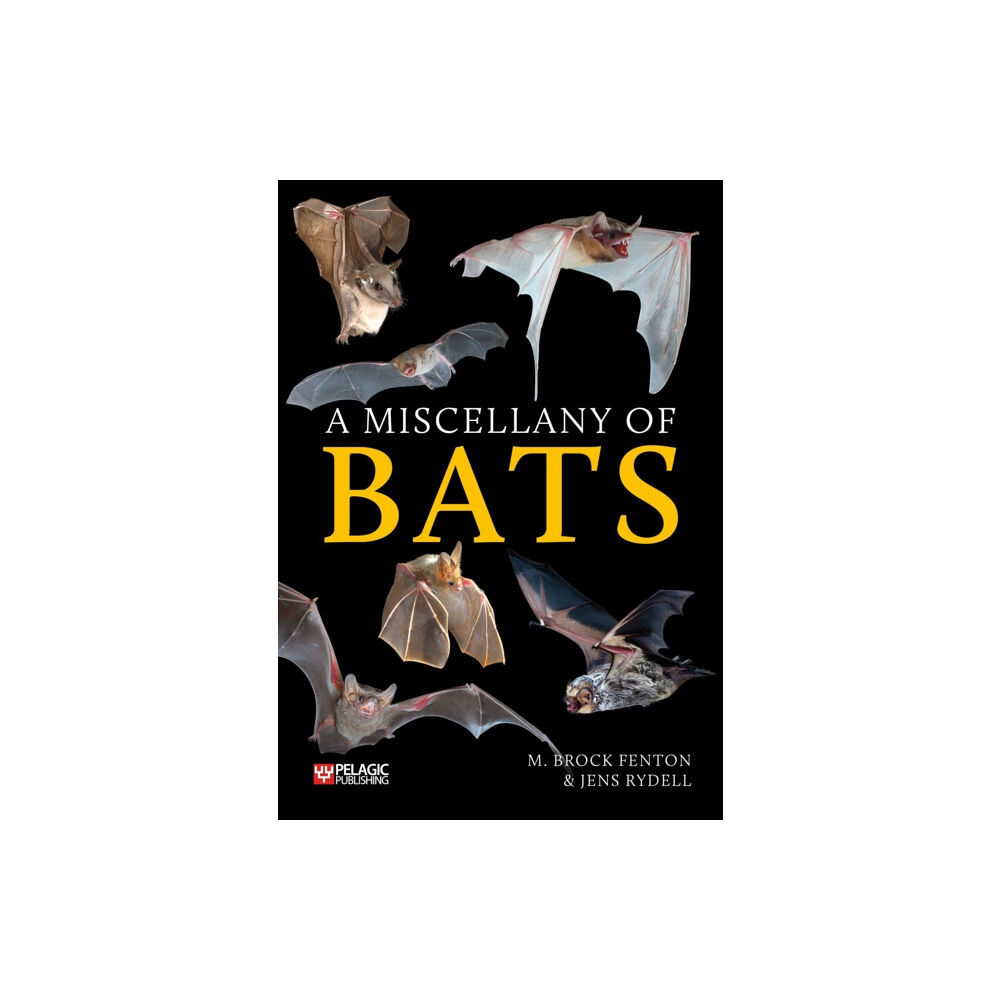 Pelagic Publishing A Miscellany of Bats (häftad, eng)