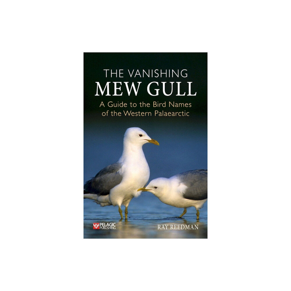 Pelagic Publishing The Vanishing Mew Gull (inbunden, eng)