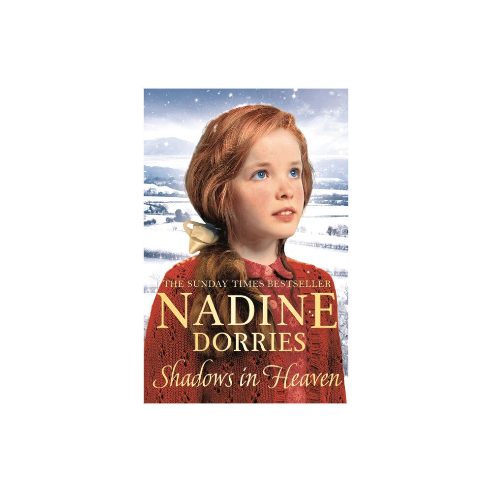 Bloomsbury Publishing PLC Shadows in Heaven (häftad, eng)