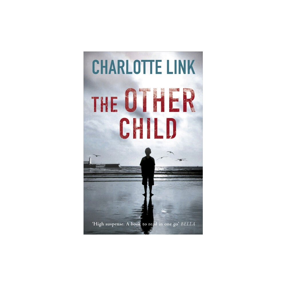 Orion Publishing Co The Other Child (häftad, eng)