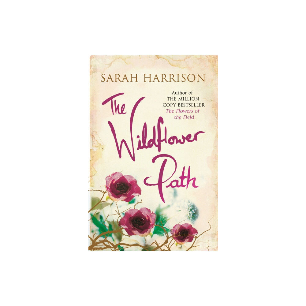 Orion Publishing Co The Wildflower Path (häftad, eng)