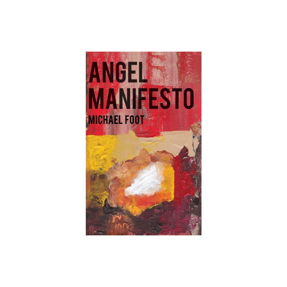 Troubador Publishing Angel Manifesto (häftad, eng)