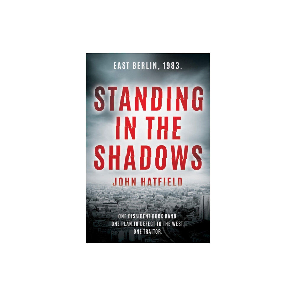 Troubador Publishing Standing in the Shadows (häftad, eng)