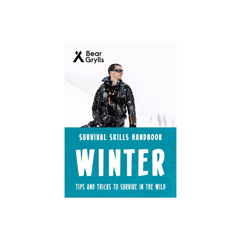 Bonnier Zaffre Bear Grylls Survival Skills: Winter (häftad, eng)