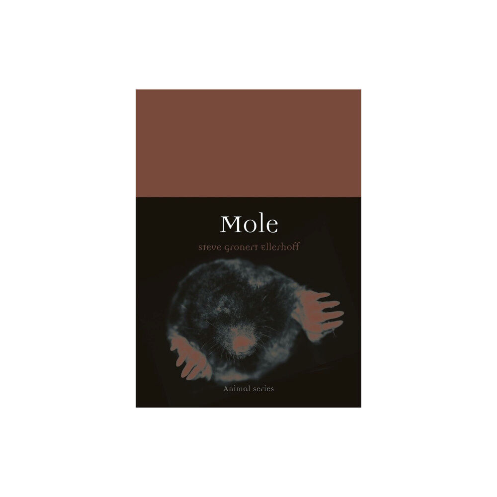 Reaktion Books Mole (häftad, eng)