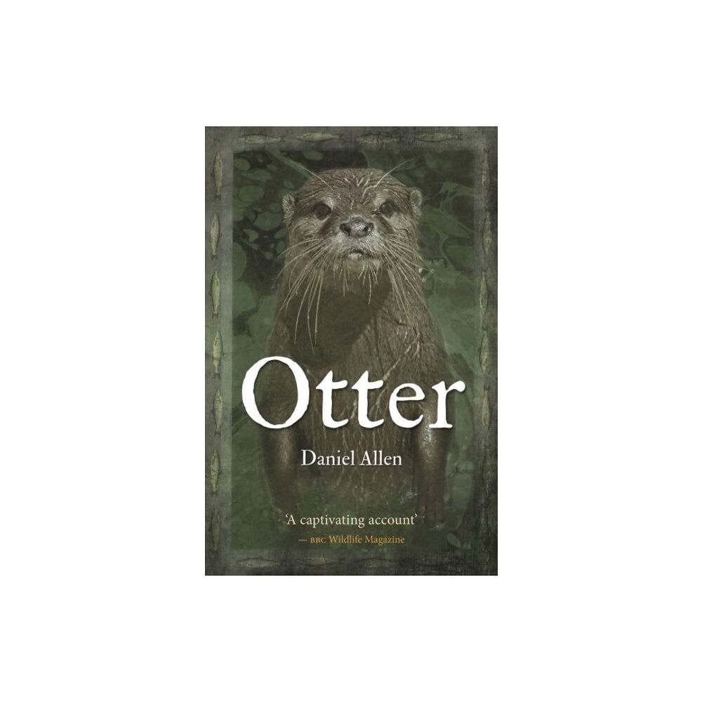 Reaktion Books Otter (häftad, eng)