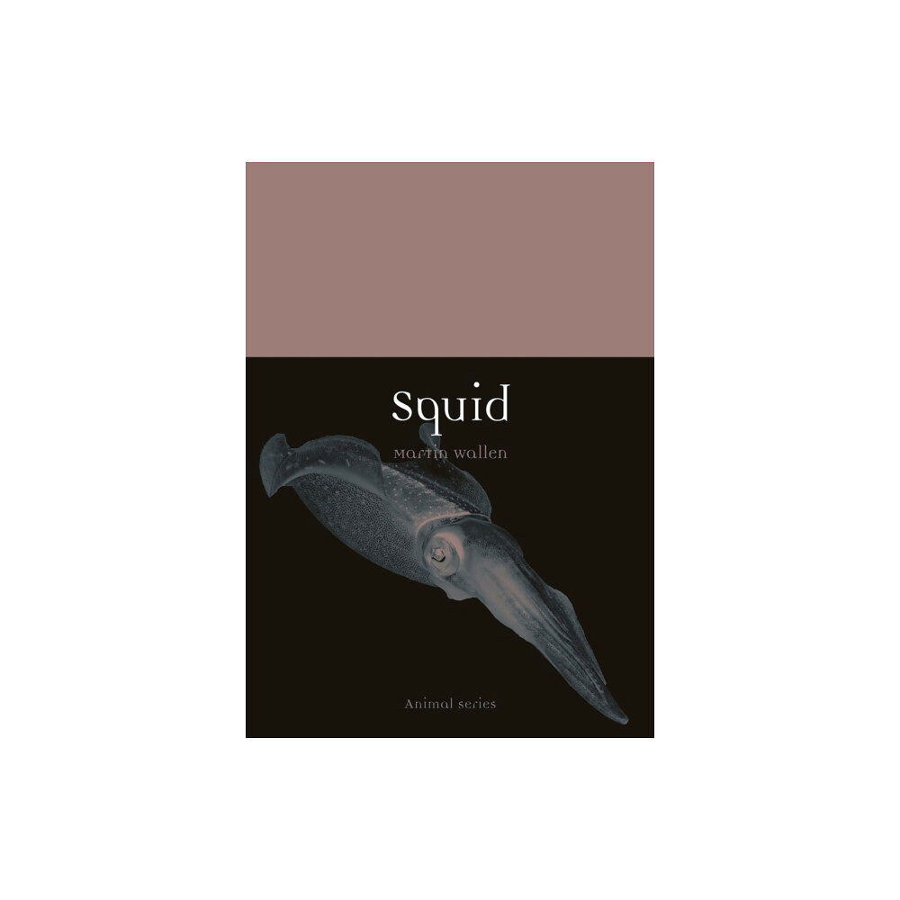 Reaktion Books Squid (häftad, eng)