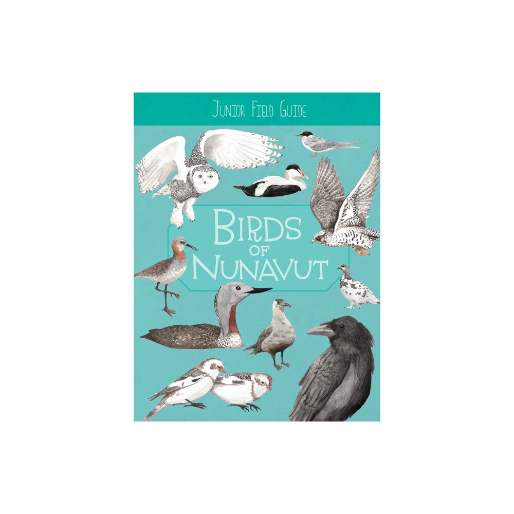 Inhabit Education Books Inc. Junior Field Guide: Birds of Nunavut (häftad, eng)