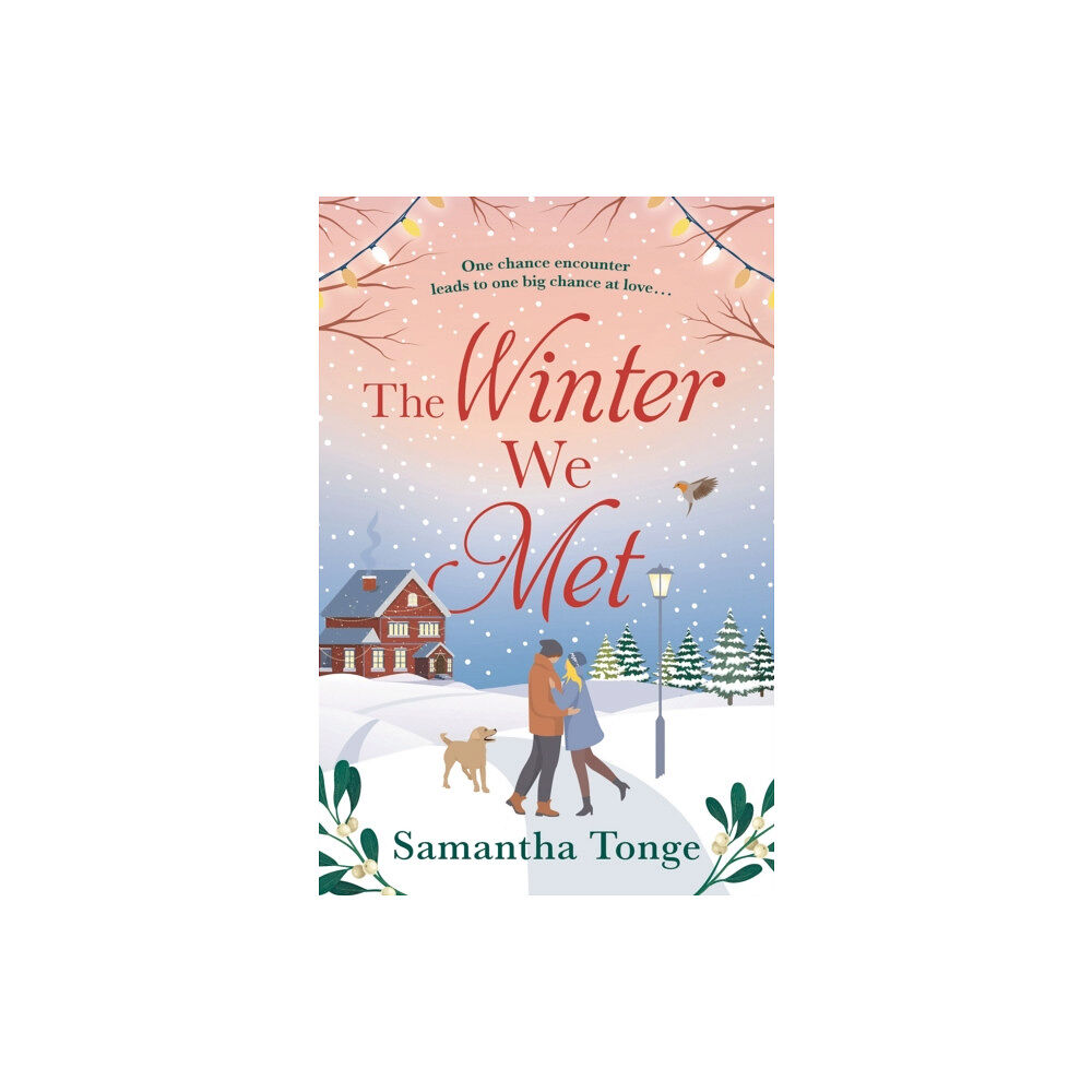 Bloomsbury Publishing PLC The Winter We Met (häftad, eng)