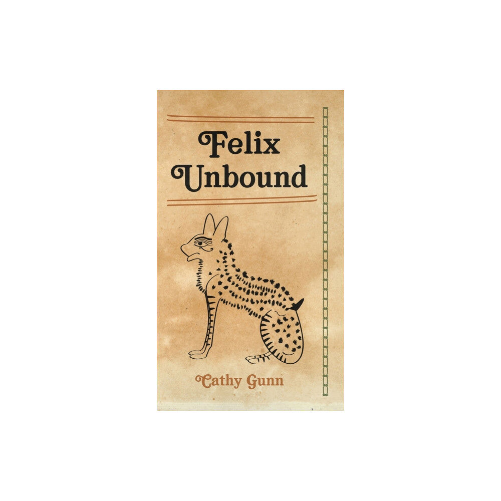 New Generation Publishing Felix Unbound (inbunden, eng)