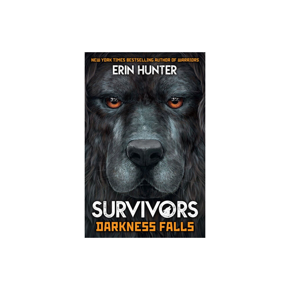 Gemini Books Group Ltd Survivors Book 3: Darkness Falls (häftad, eng)