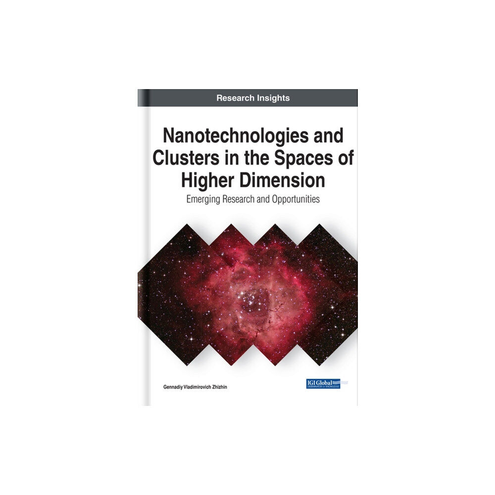 IGI Global Nanotechnologies and Clusters in the Spaces of Higher Dimension (inbunden, eng)