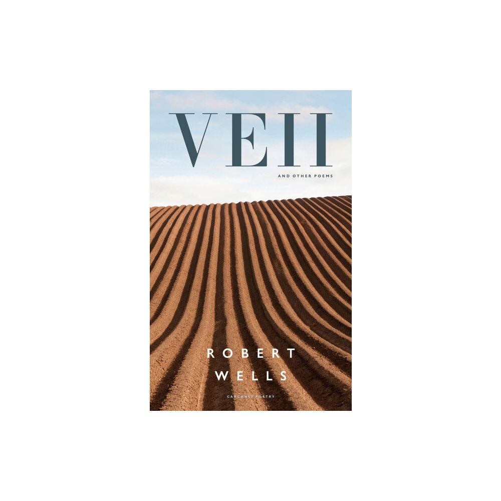 Carcanet Press Ltd Veii and other poems (häftad, eng)