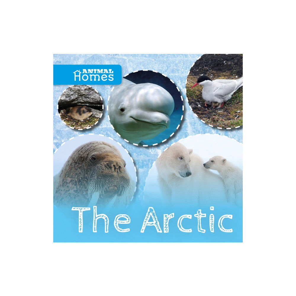 BookLife Publishing The Arctic (inbunden, eng)