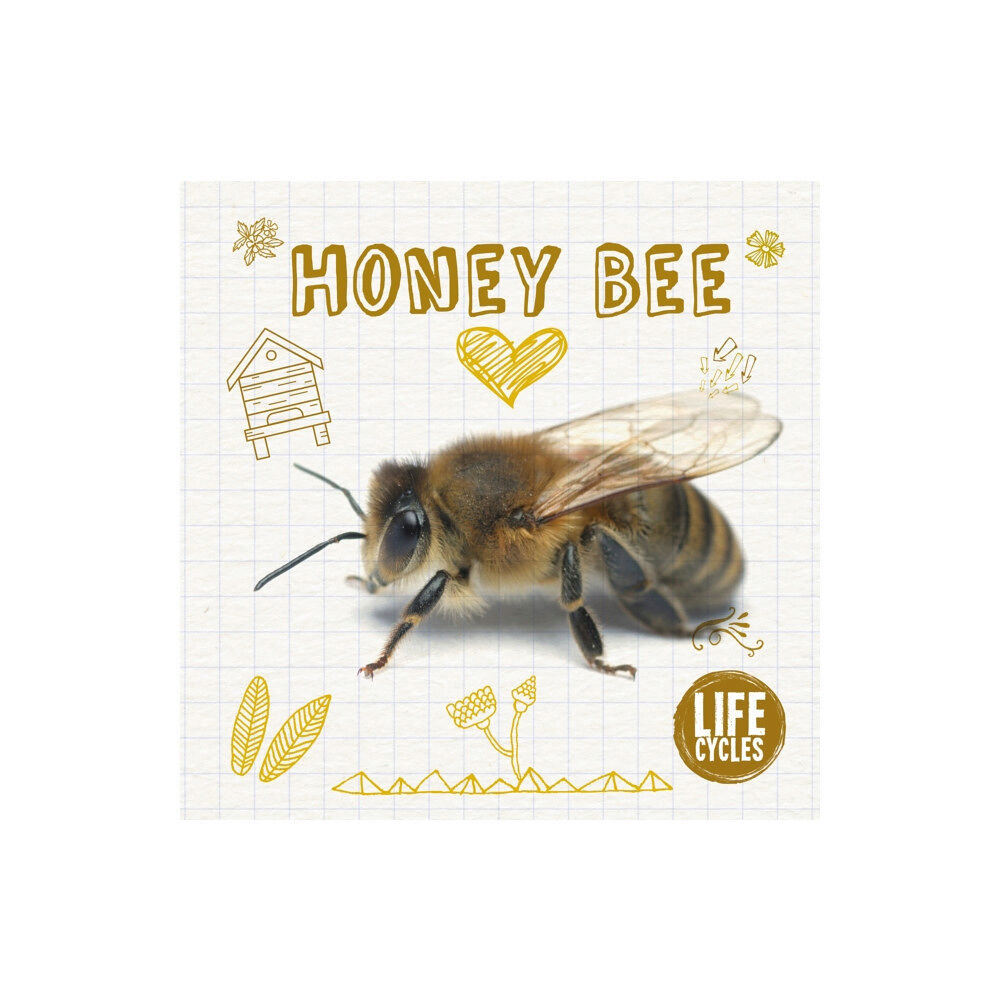 BookLife Publishing Honey Bee (inbunden, eng)