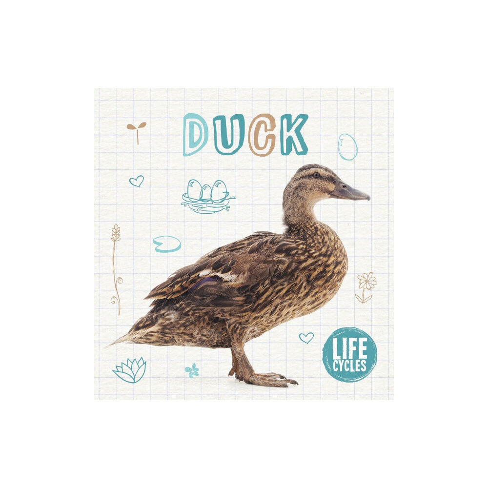 BookLife Publishing Duck (inbunden, eng)