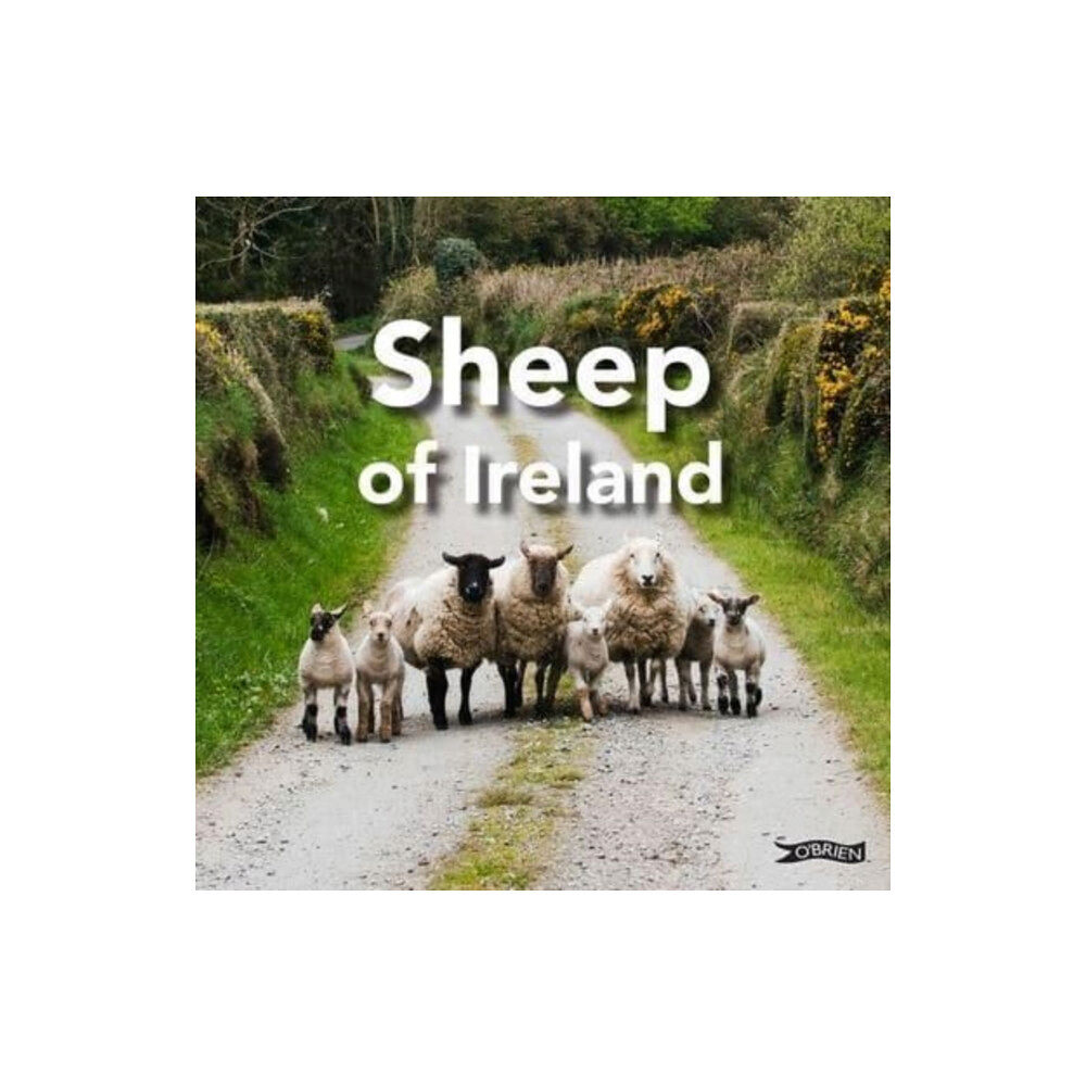 O'Brien Press Ltd Sheep of Ireland (inbunden, eng)