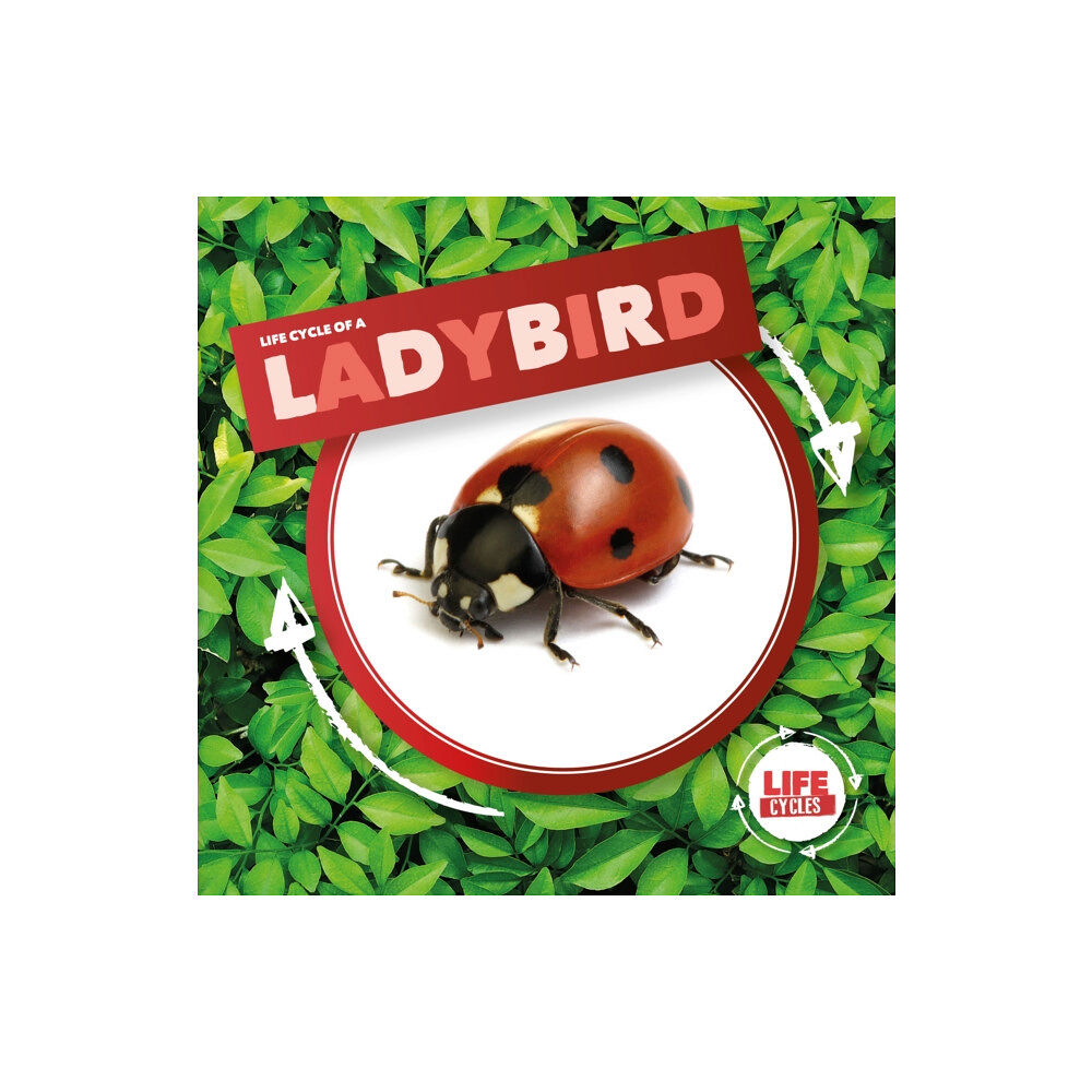 BookLife Publishing Ladybird (inbunden, eng)