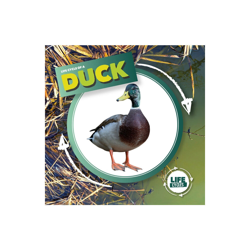 BookLife Publishing Duck (inbunden, eng)