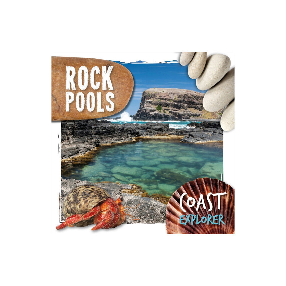 BookLife Publishing Rock Pools (inbunden, eng)