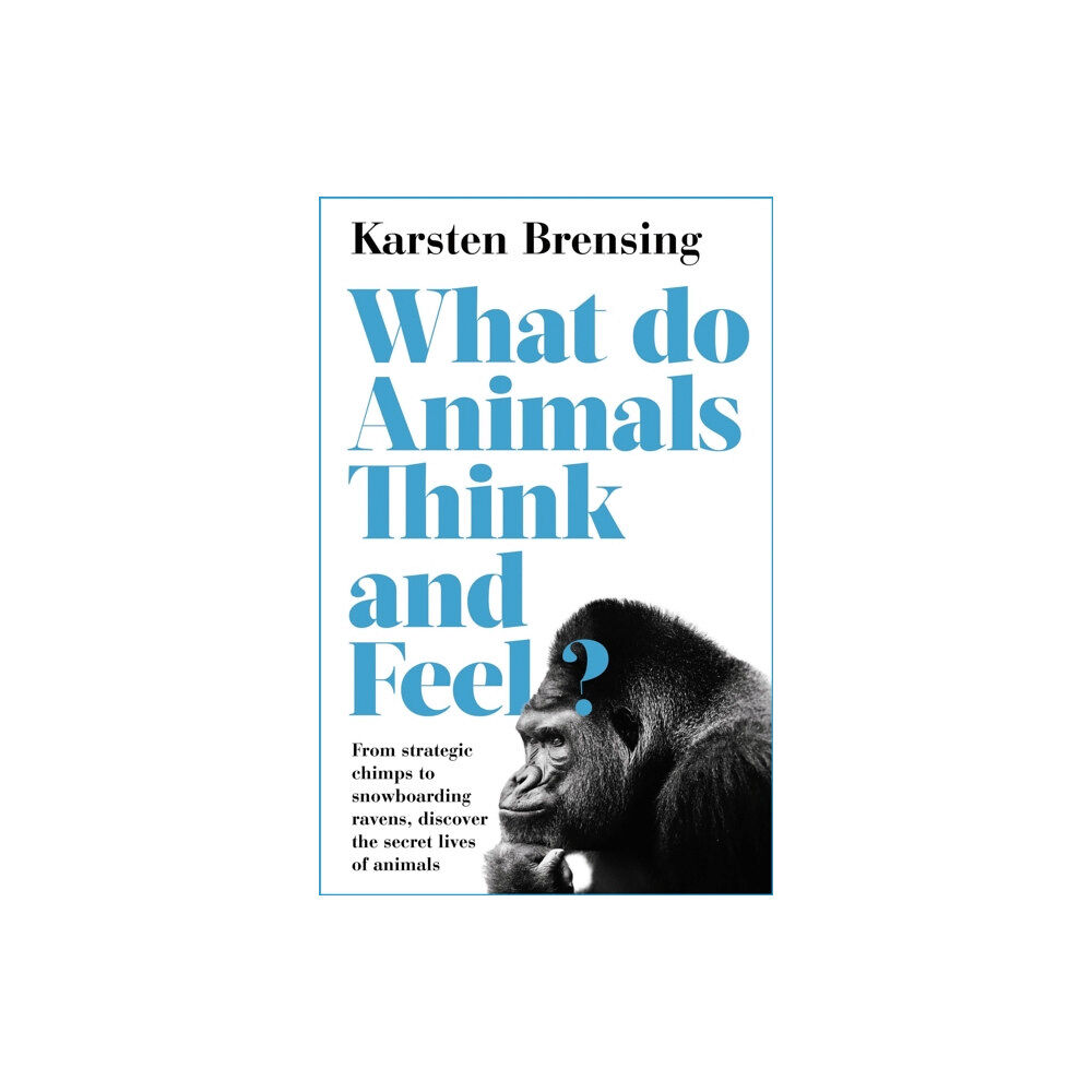 Bloomsbury Publishing PLC What Do Animals Think and Feel? (häftad, eng)