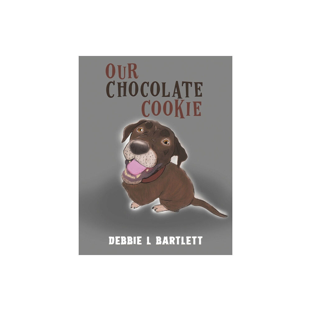 Austin Macauley Publishers Our Chocolate Cookie (häftad, eng)