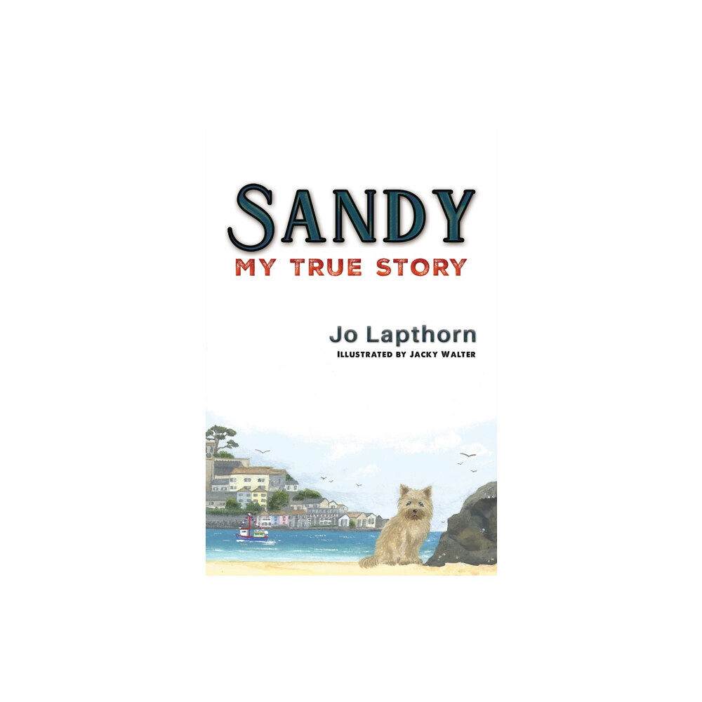 Austin Macauley Publishers Sandy (häftad, eng)