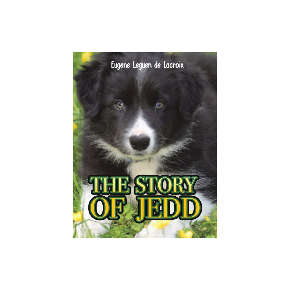 Austin Macauley Publishers The Story of Jedd (häftad, eng)