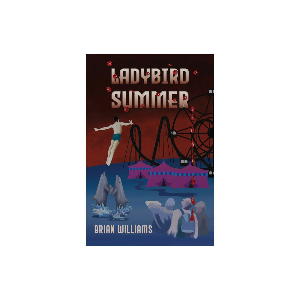 Austin Macauley Publishers Ladybird Summer (häftad, eng)
