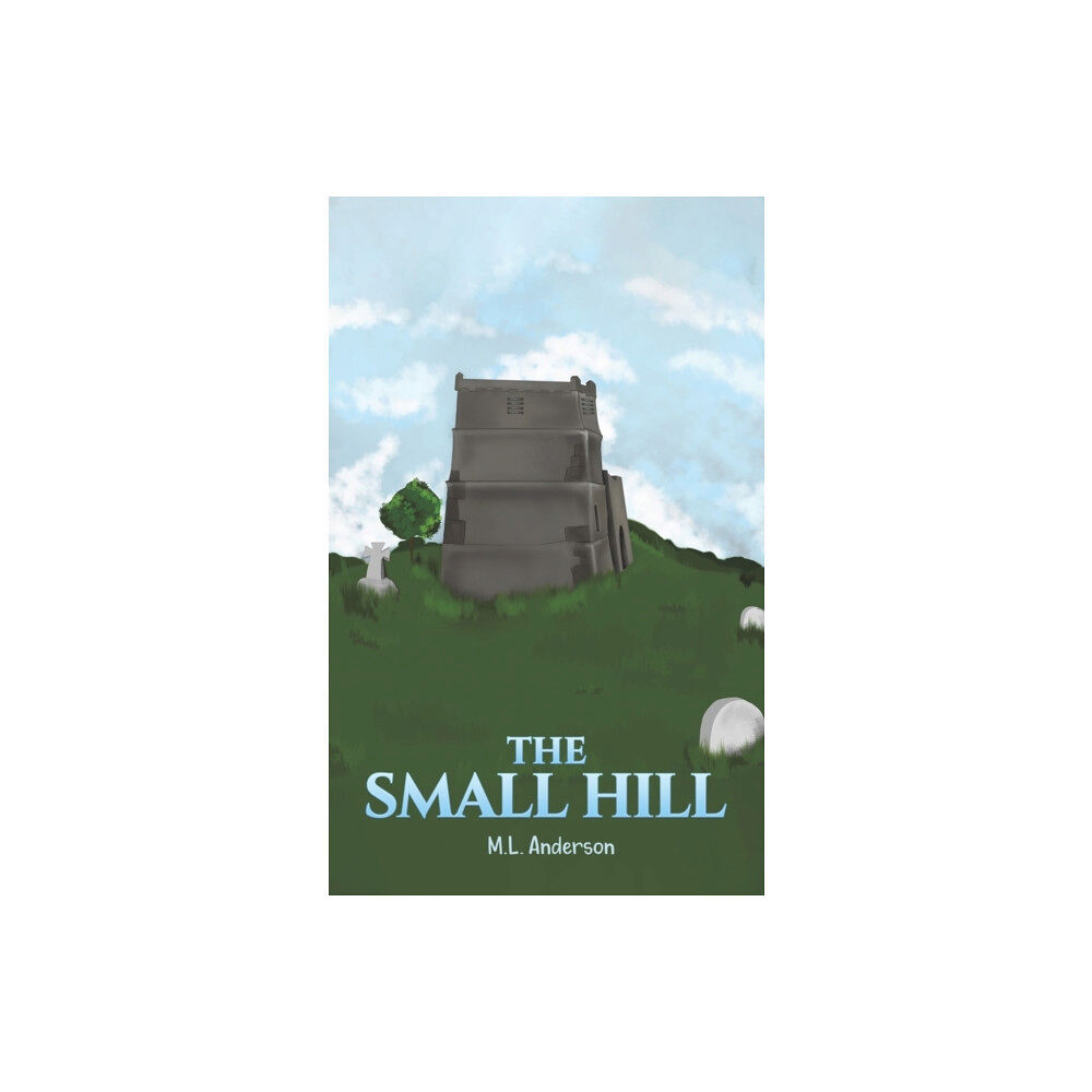 Austin Macauley Publishers The Small Hill (häftad, eng)