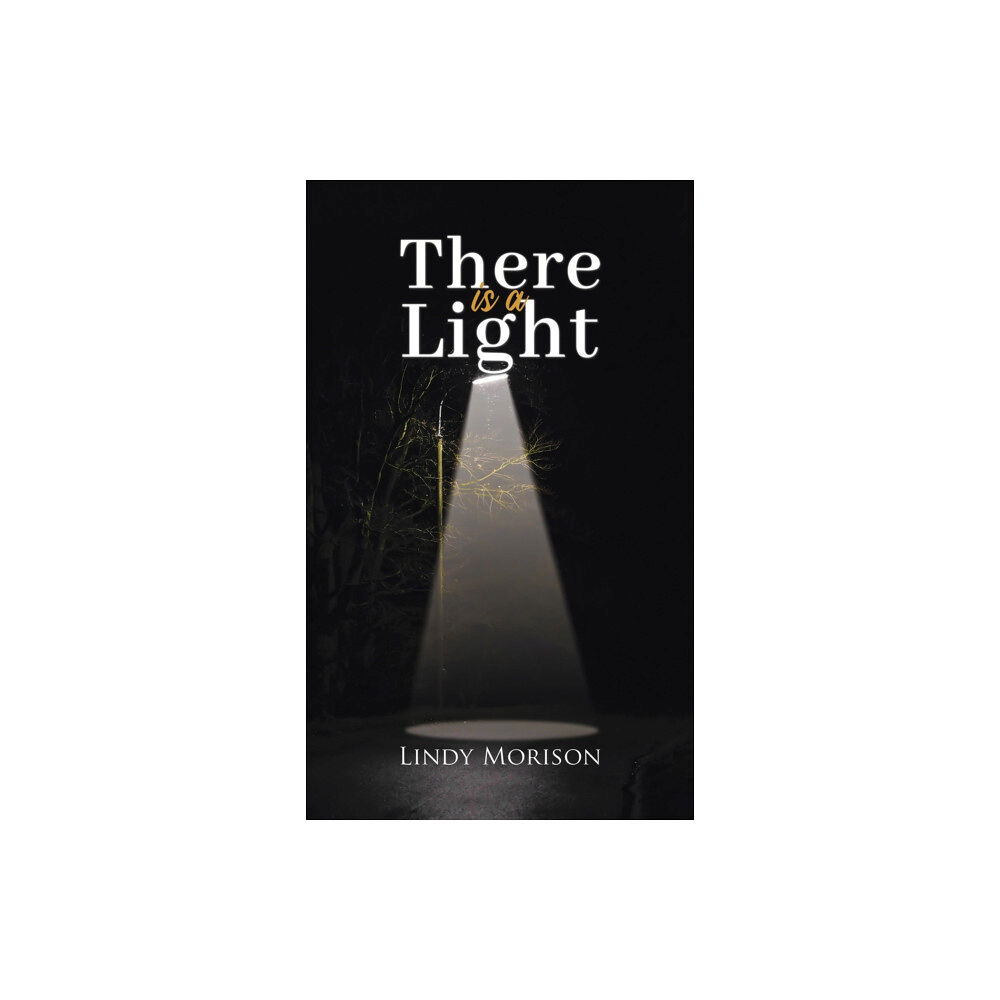 Austin Macauley Publishers There is a Light (häftad, eng)