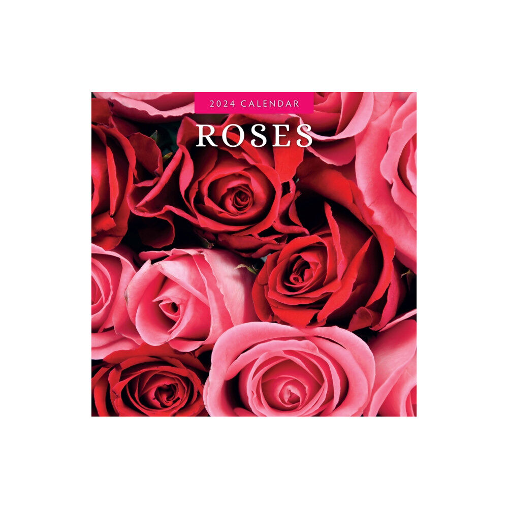 Red Robin Publishing Ltd. Roses 2024 Square Wall Calendar (häftad, eng)