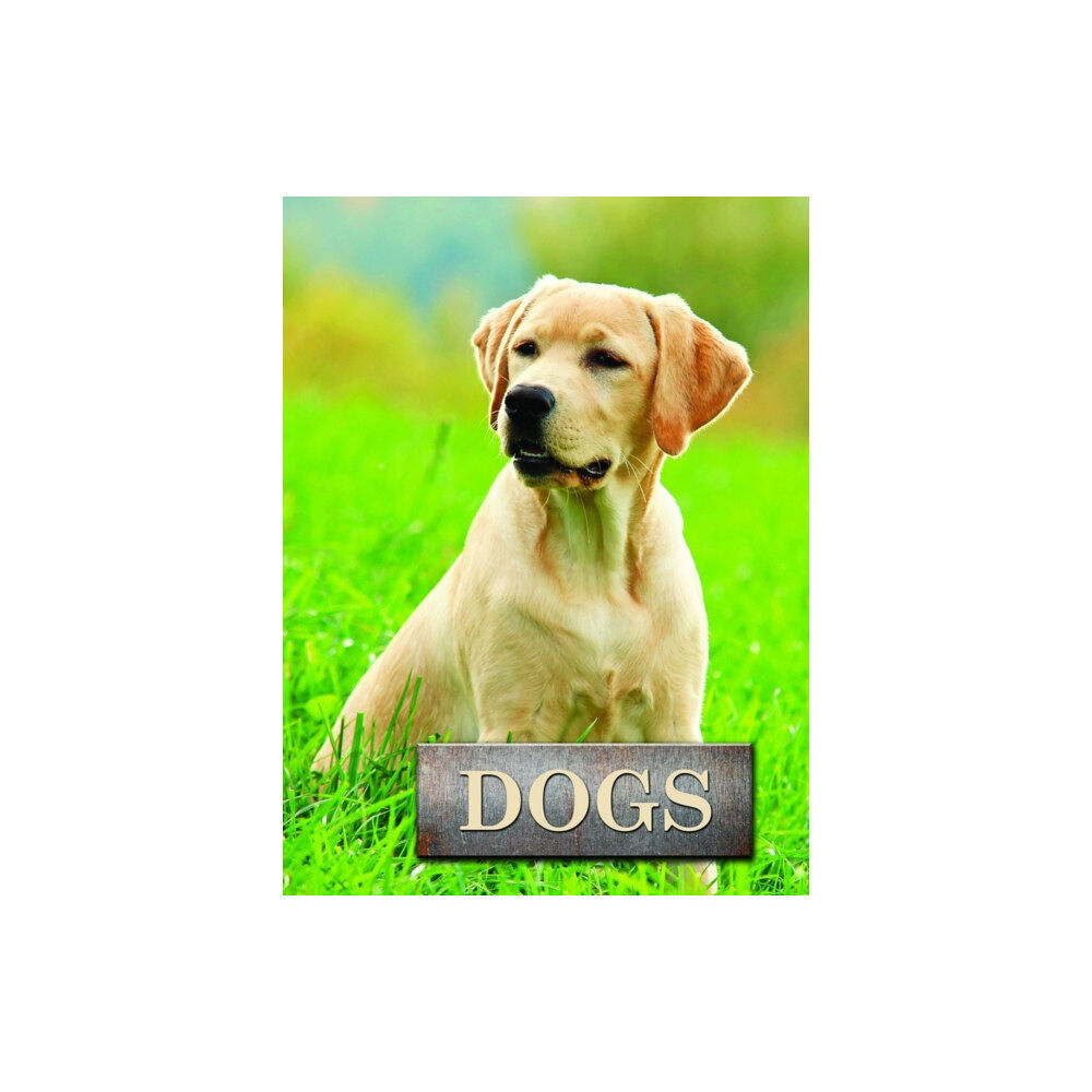 Mason Crest Publishers Dogs (inbunden, eng)