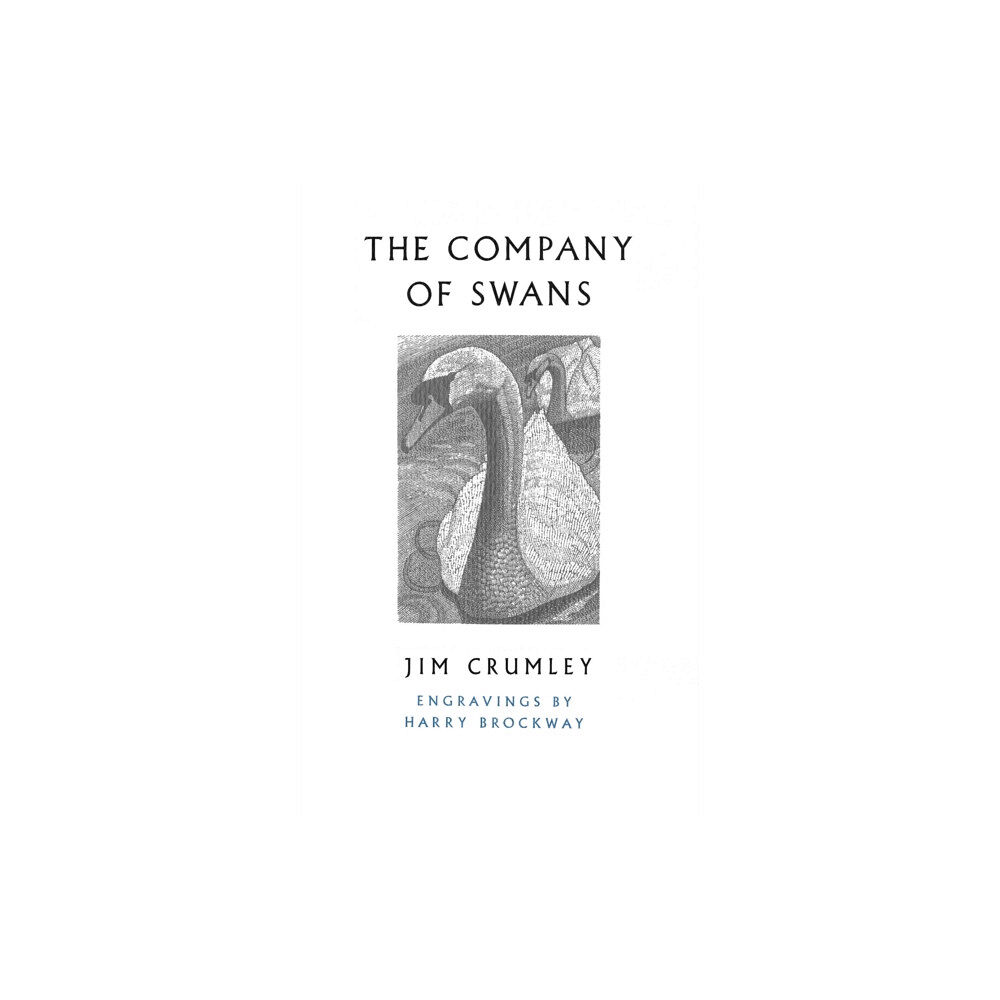 Vintage Publishing The Company of Swans (häftad, eng)