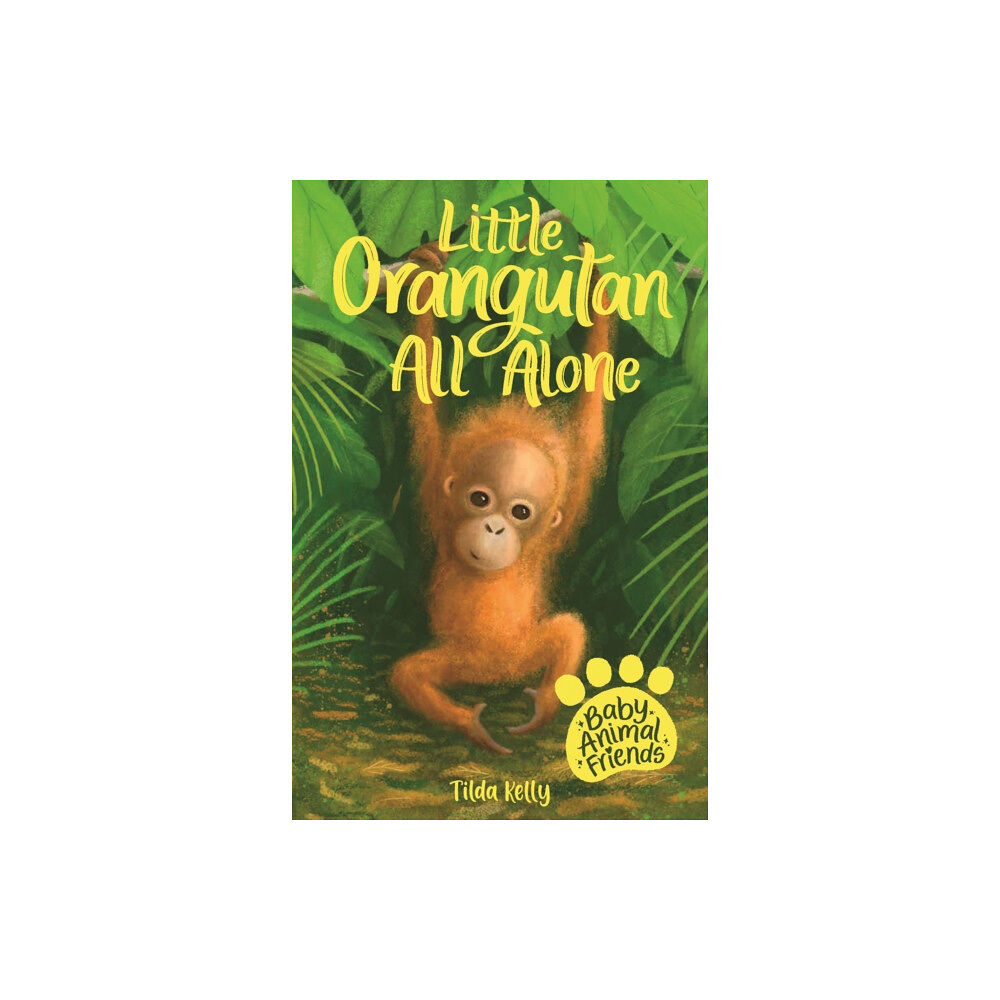 Hachette Children's Group Baby Animal Friends: Little Orangutan All Alone (häftad, eng)