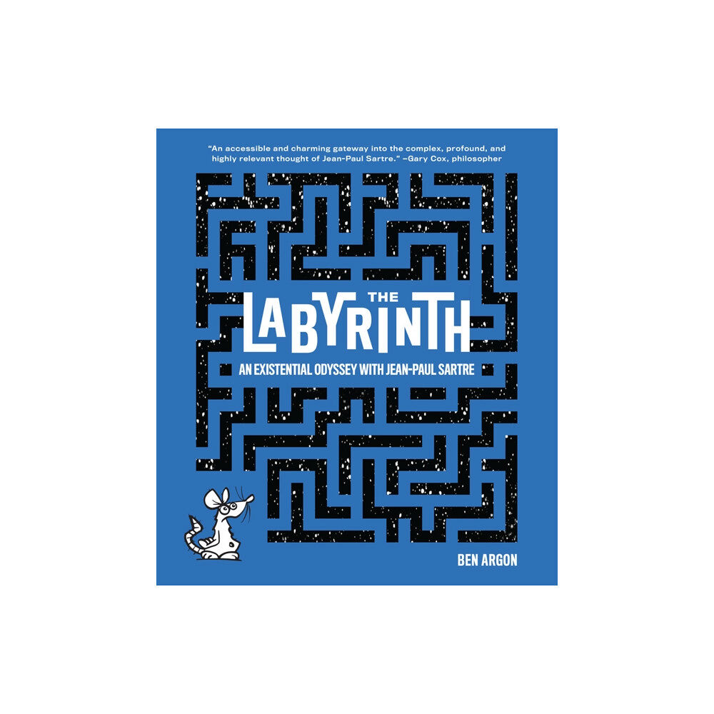 Abrams The Labyrinth (inbunden, eng)