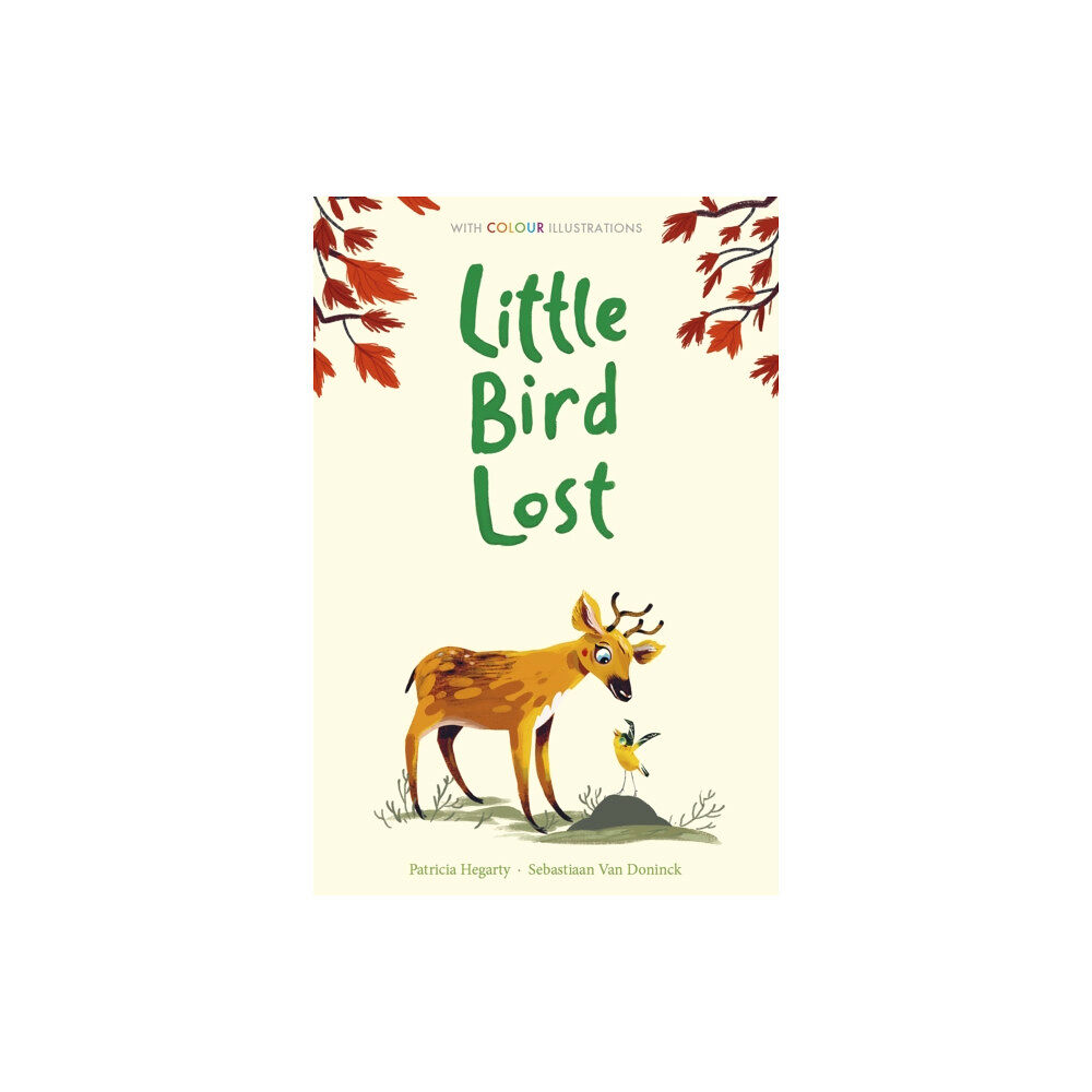 Little Tiger Press Group Little Bird Lost (inbunden, eng)