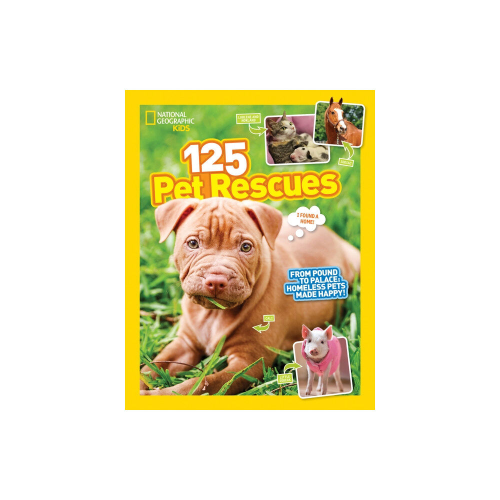 National Geographic Kids 125 Pet Rescues (häftad, eng)