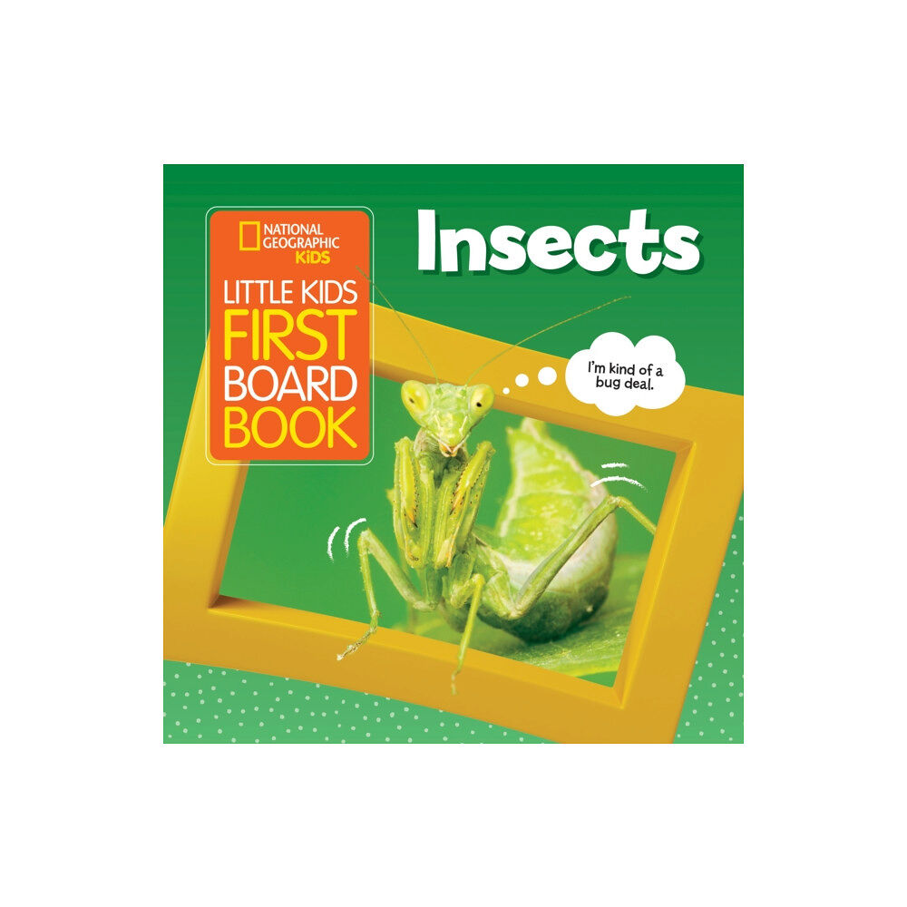 National Geographic Kids Little Kids First Board Book Insects (bok, board book, eng)