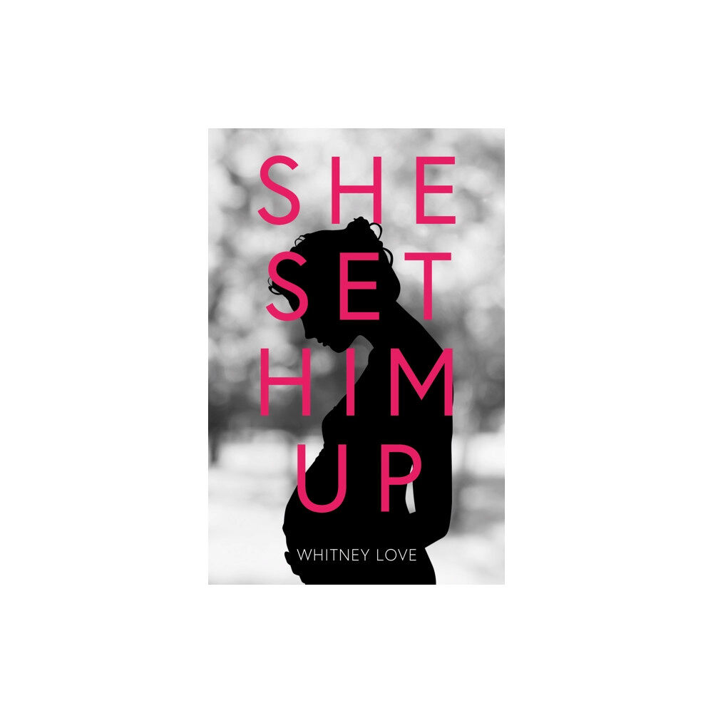 Troubador Publishing She Set Him Up (häftad, eng)