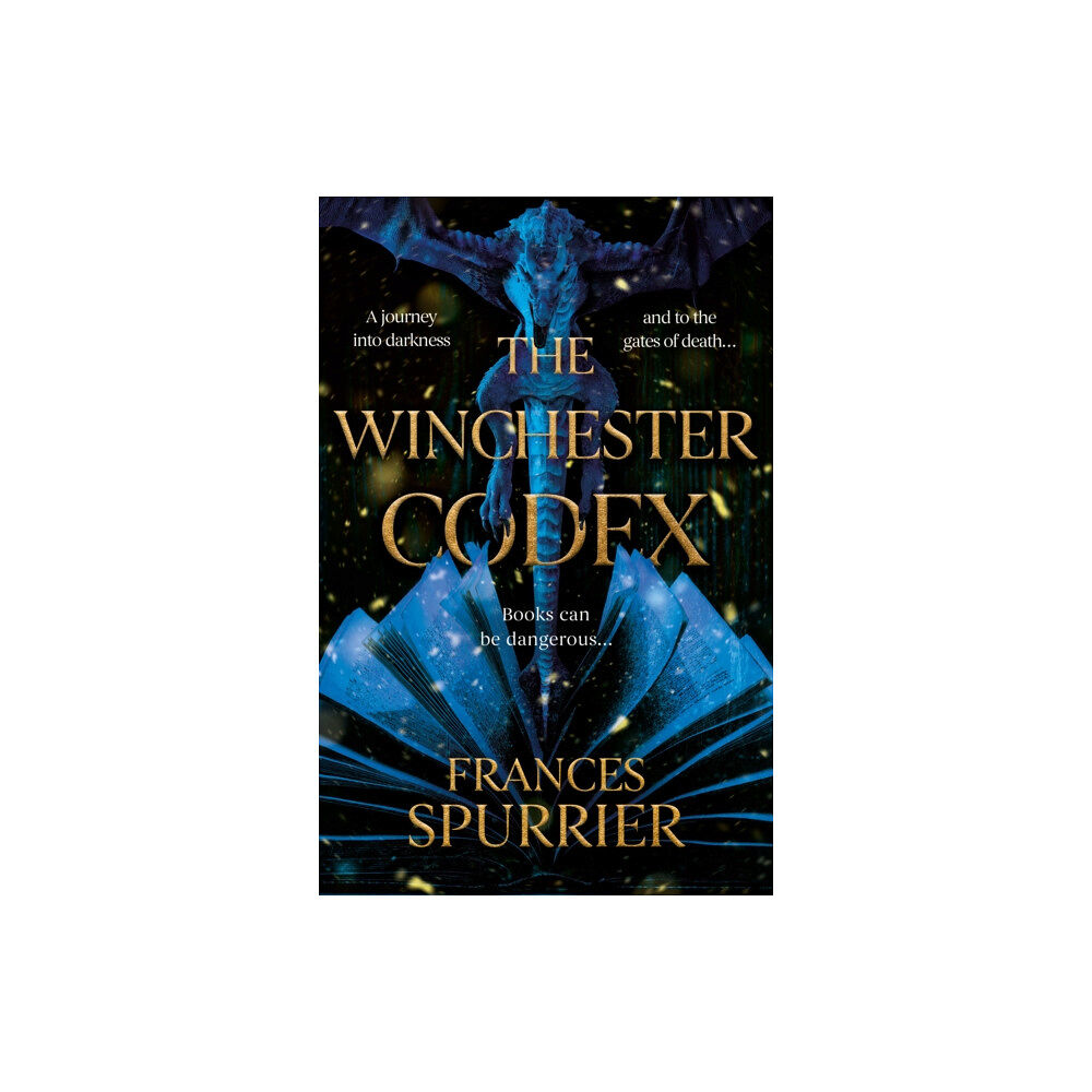 Troubador Publishing The Winchester Codex (häftad, eng)