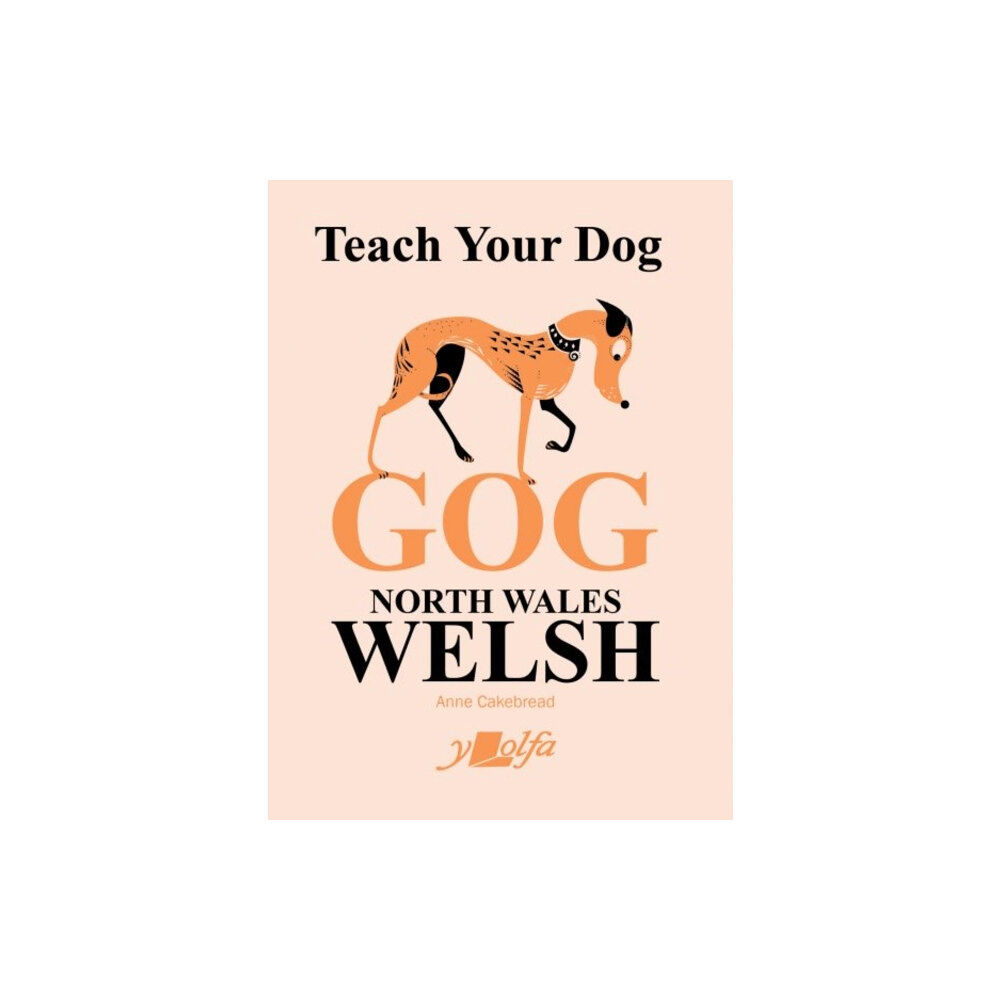 Y Lolfa Teach Your Dog Gog (häftad, eng)