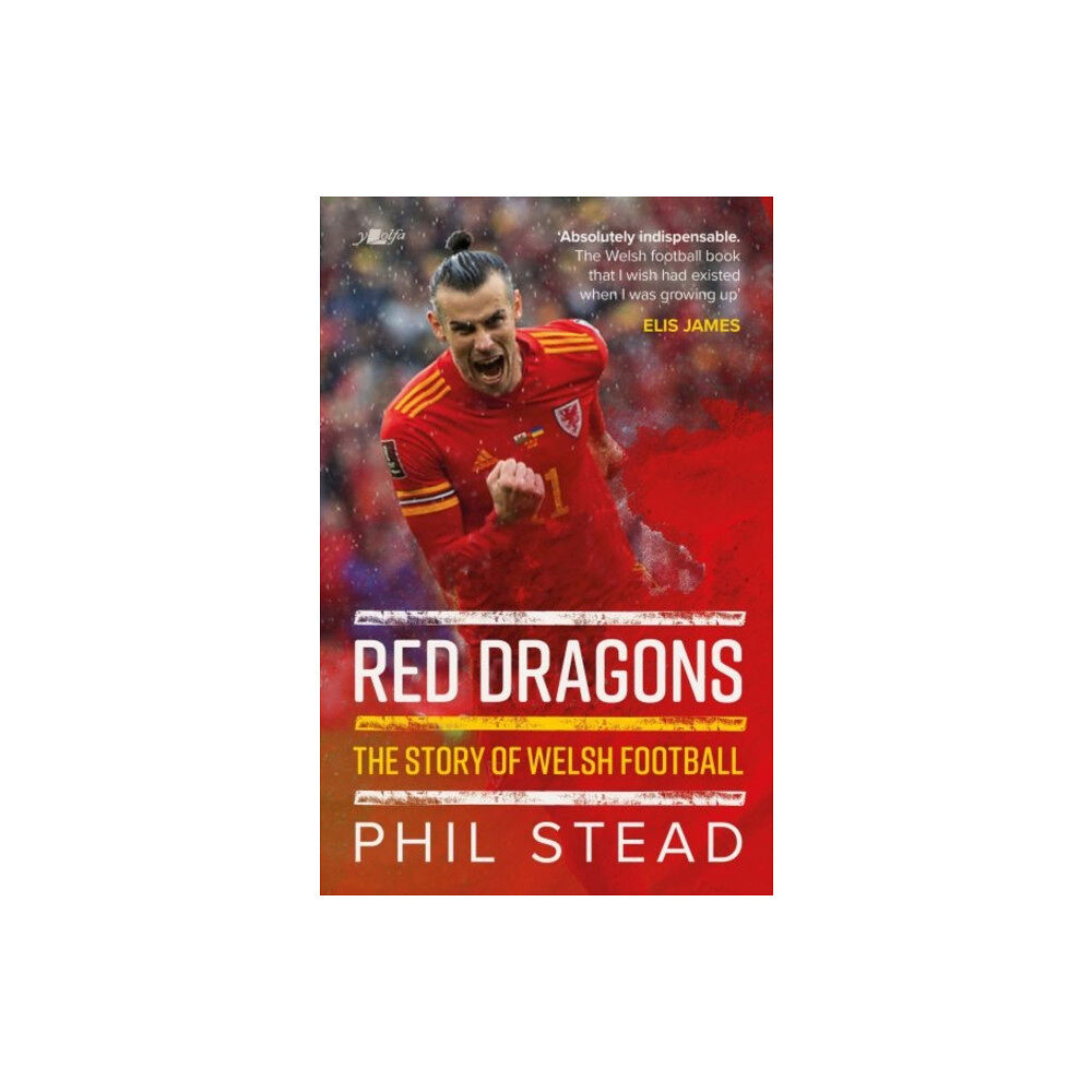 Y Lolfa Red Dragons - The Story of Welsh Football (häftad, eng)