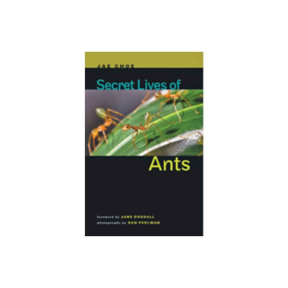 Johns Hopkins University Press Secret Lives of Ants (inbunden, eng)