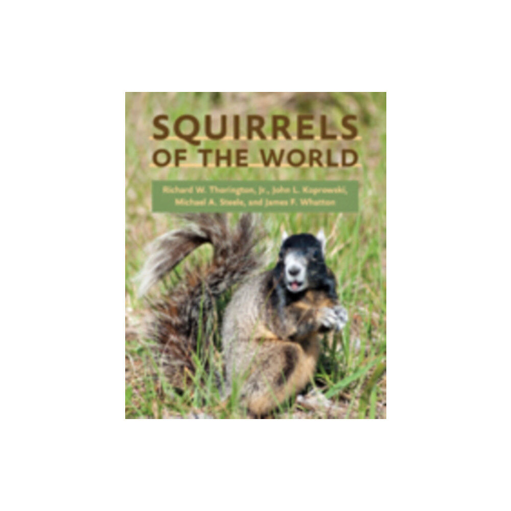 Johns Hopkins University Press Squirrels of the World (inbunden, eng)