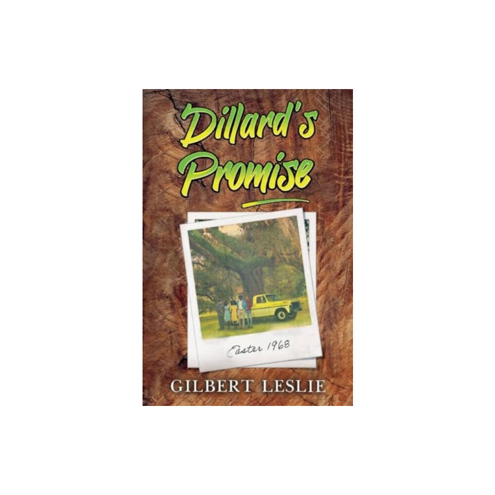 Pegasus Elliot Mackenzie Publishers Dillard's Promise (häftad, eng)