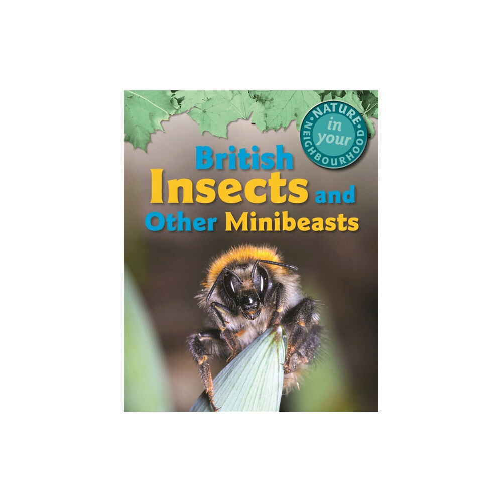 Hachette Children's Group Nature in Your Neighbourhood: British Insects and other Minibeasts (häftad, eng)